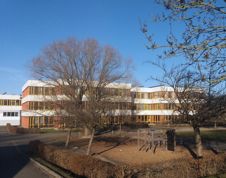 2025 gsgwisonn 003 xxx